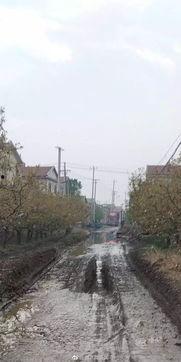 赵县爆料最新,揭秘当地最新热点事件! 第1张 赵县爆料最新,揭秘当地最新热点事件! 第1张